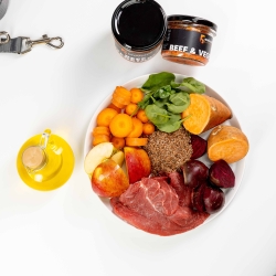 Animaldi Hundefutter aus Rindfleisch und Gemüse - Premium