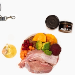 Animaldi Hundefutter aus Lamm - Premium